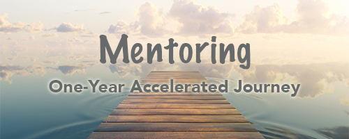 julie services mentor copy
