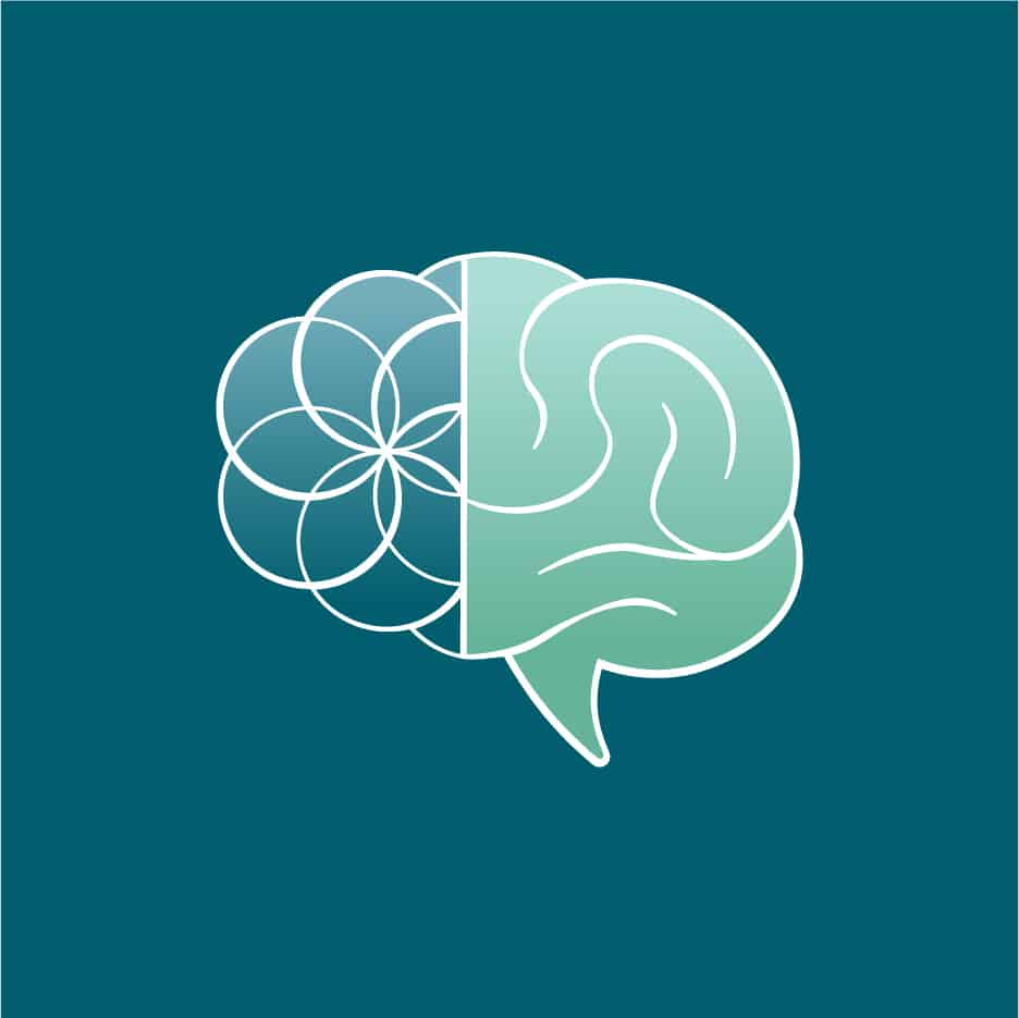 whole conversation Social - Brain A